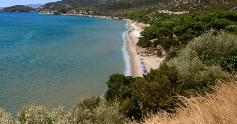 Χαλκιδική: Ικανοποιημένο το 45% των επιχειρηματιών της περιοχής για την καλοκαιρινή περίοδο