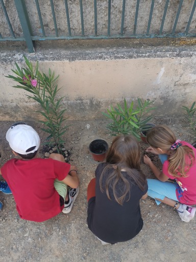 Praktiker Hellas: χώροι πρασίνου σε σχολικά προαύλια με το “Kiddos Kipos-The school project”
