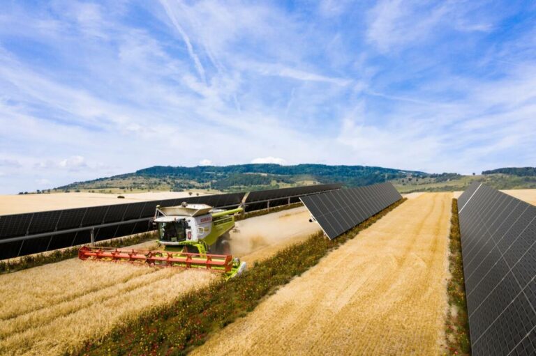 BayWa r.e. – VELUX: Πρώτη συνύπαρξη φωτοβολταϊκών εγκαταστάσεων στην Ισπανία με τη γεωργία