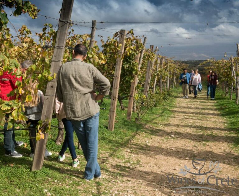 Wines of Crete: Πρόσκληση σε εστιατόρια συνεργασία στο πλαίσιο της εκδήλωσης “Ανοικτές Πόρτες” 